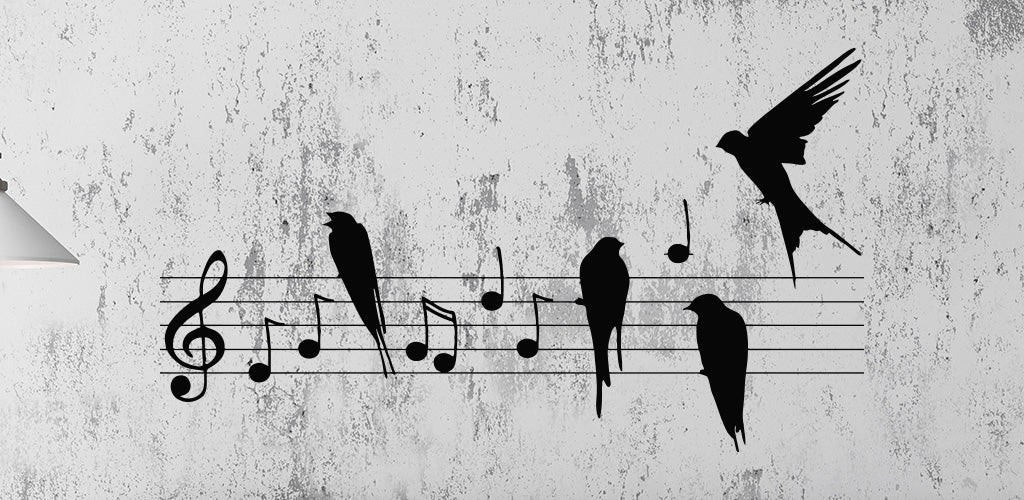 wall stickers birds. Sunnyoves Store. Free US Shipping. 90 Days Returns. Decal Customization. Made In USA.