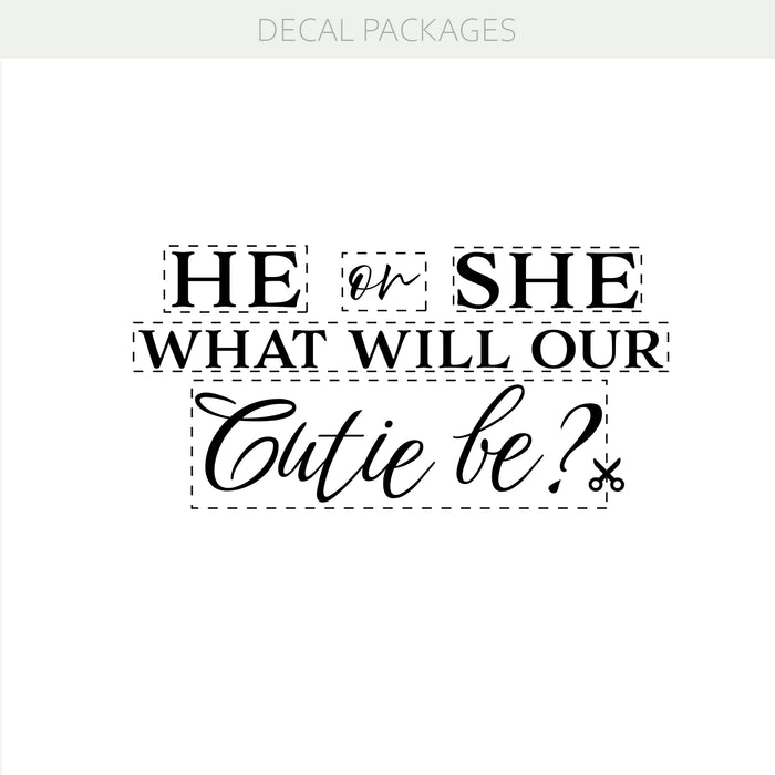 He or She, What Will Our Cutie Be? Vinyl Decal – Gender Reveal Party Decor Backdrop Decoration w036