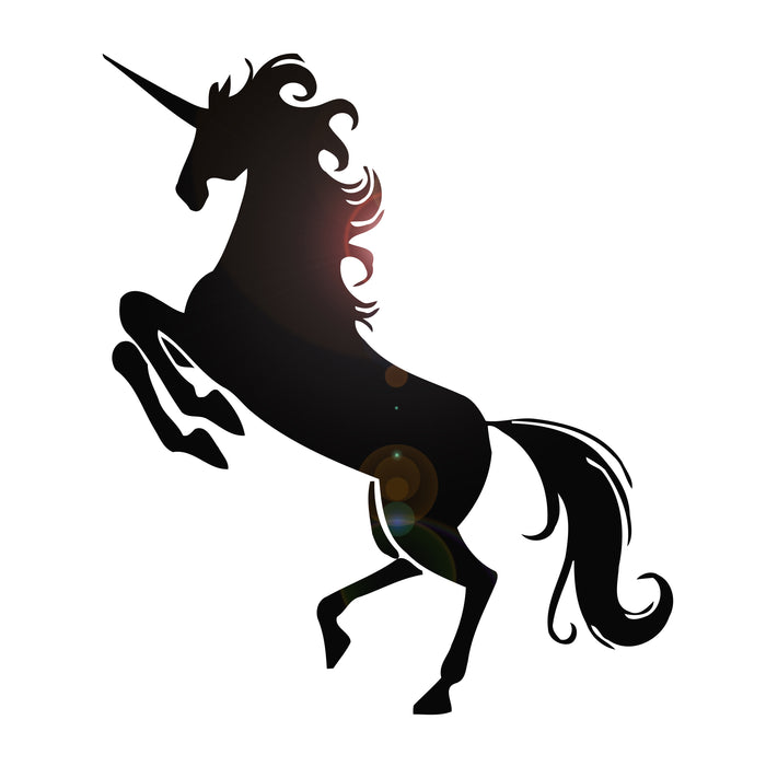 Wall Decal Animal Unicorn Fantasy Wall Art Decor Vinyl Sticker Unique Gift z309