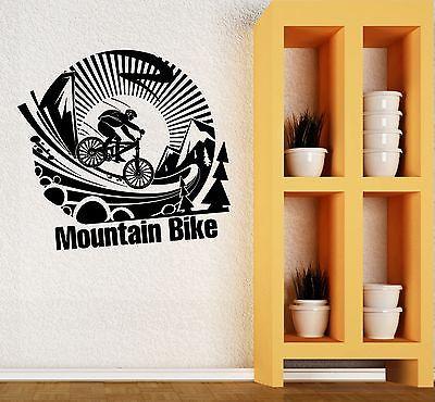 Wall Vinyl Sticker Mountain Bike Extreme Sports Art Bicycle Boys Room Unique Gift (ig2041)